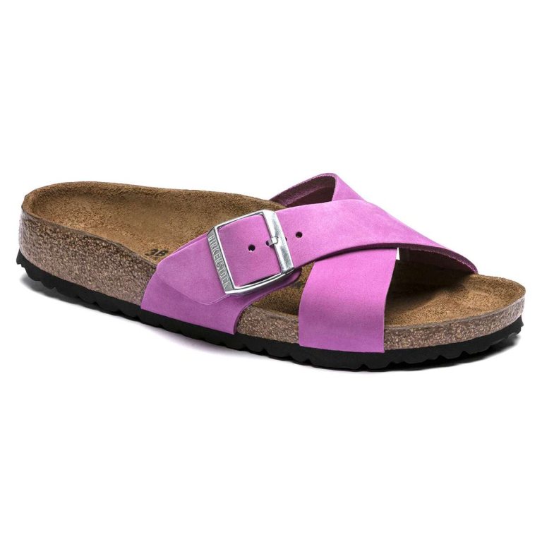 Purple Birkenstock Siena Nubuck Leather Women's Two Strap Sandals | 9GcU5RLRC2f