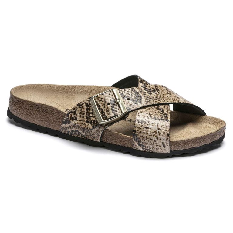 Snake Beige Birkenstock Siena Embossed Leather Women's Two Strap Sandals | DlSAT2zwhZW