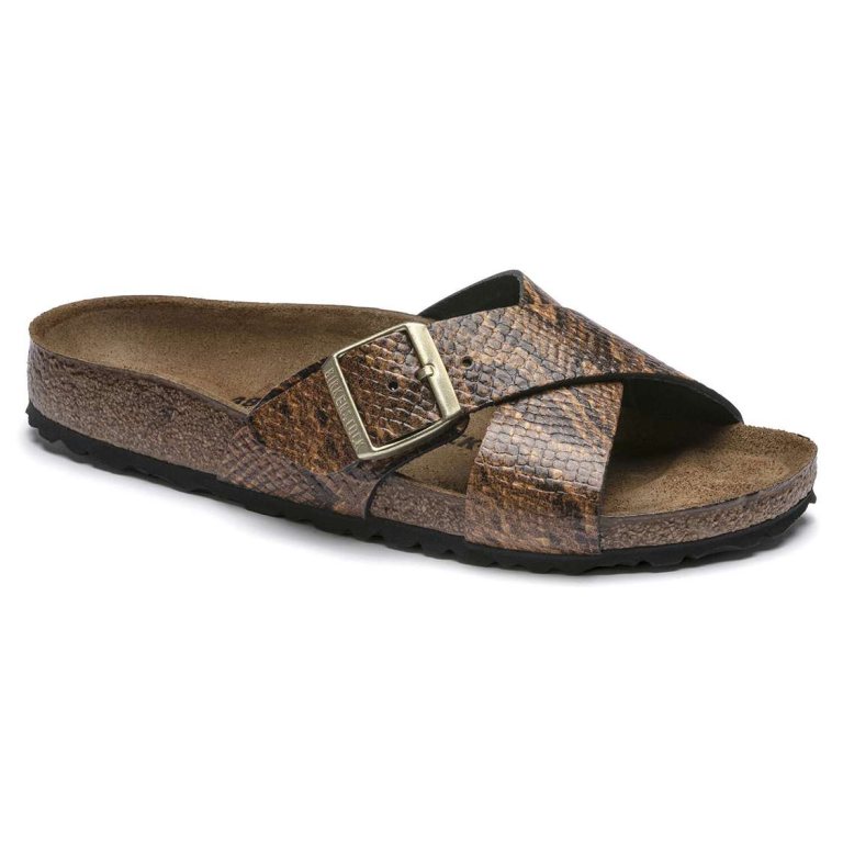 Snake Brown Birkenstock Siena Embossed Leather Women's Two Strap Sandals | X671EWD1gwU